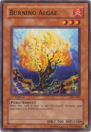Burning Algae [1st Edition] IOC-062