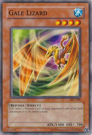 Gale Lizard IOC-008