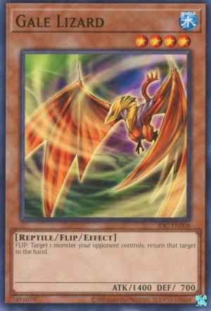 Gale Lizard IOC-EN008