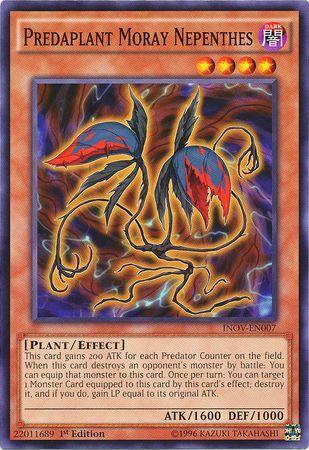 Predaplant Moray Nepenthes [1st Edition] INOV-EN007