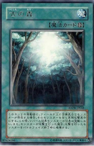 Ancient Forest ANPR-JP048