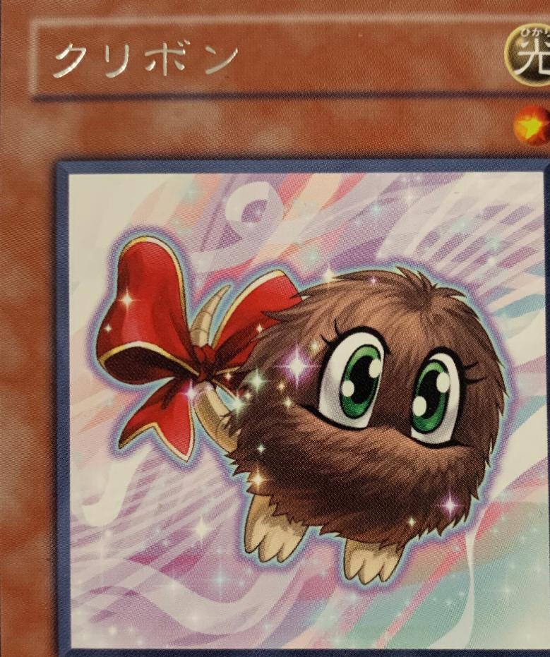 Kuribon ANPR-JP001