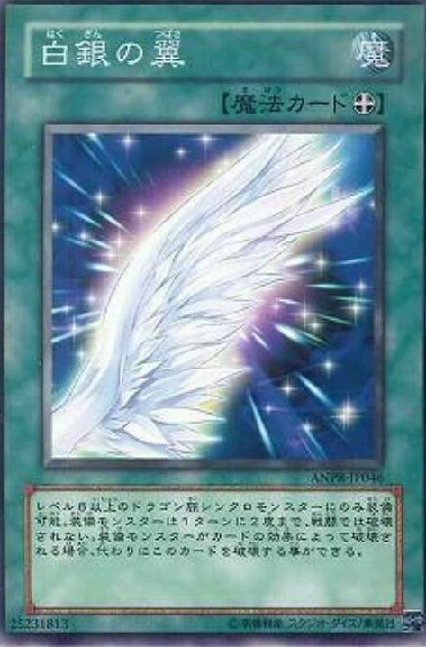 Silver Wing ANPR-JP046