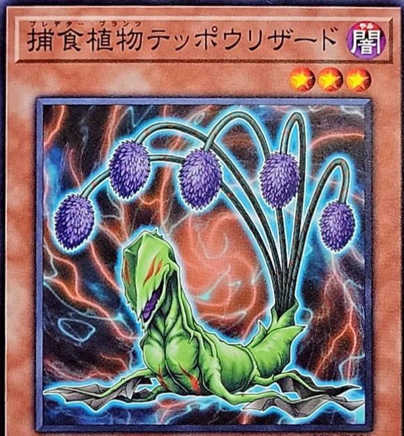 Predaplant Lilizard BLZD-JP008