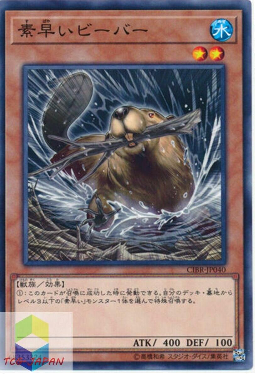 Nimble Beaver CIBR-JP040