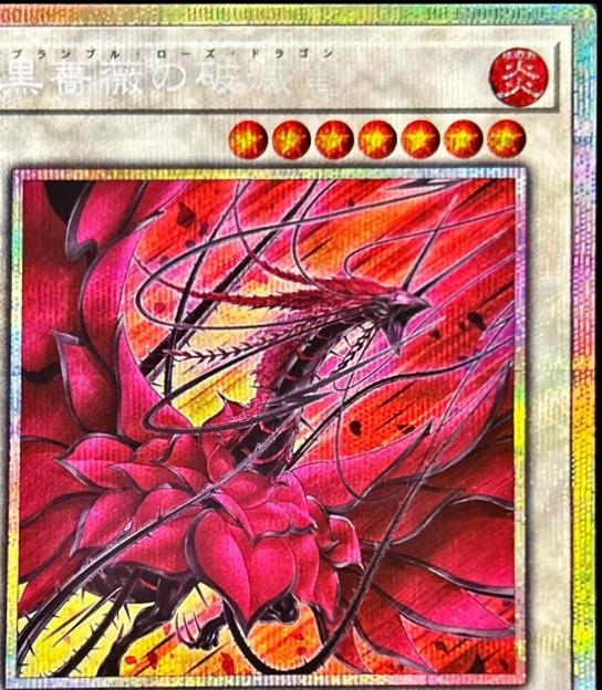Bramble Rose Dragon [Prismatic Secret Rare] DOOD-JP039