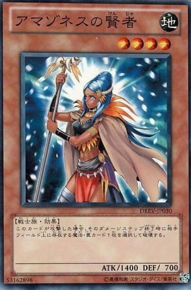 Amazoness Sage DREV-JP030