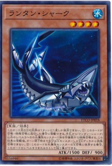 Lantern Shark ETCO-JP018