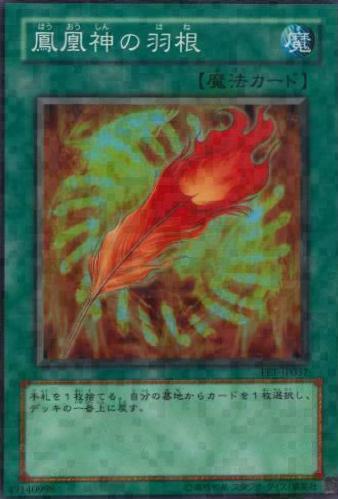 A Feather of the Phoenix FET-JP037