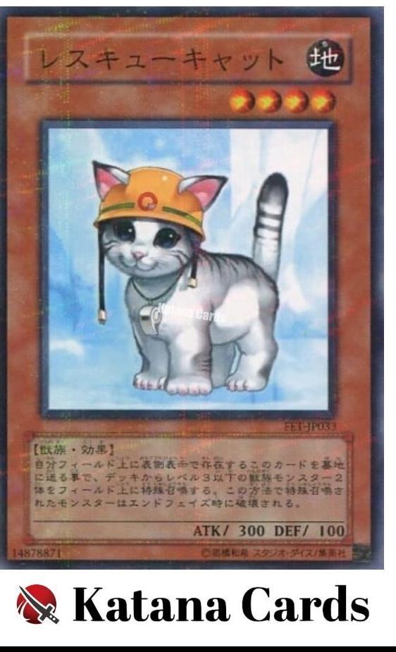 Rescue Cat FET-JP033