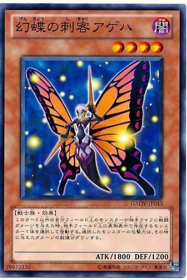 Swallowtail Butterspy GAOV-JP013