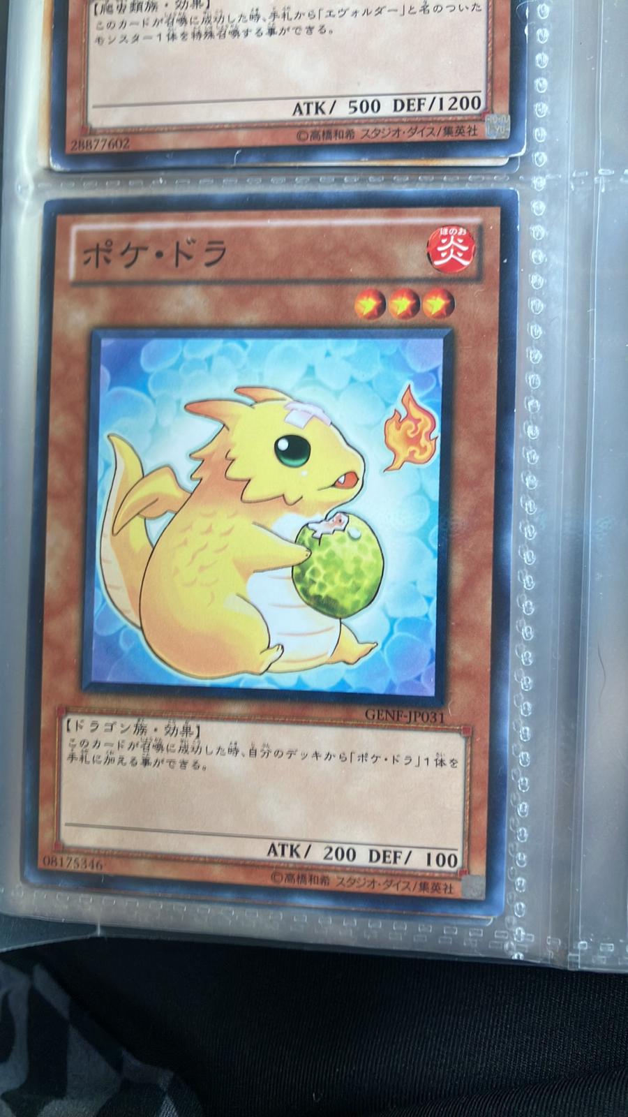 Poki Draco GENF-JP031