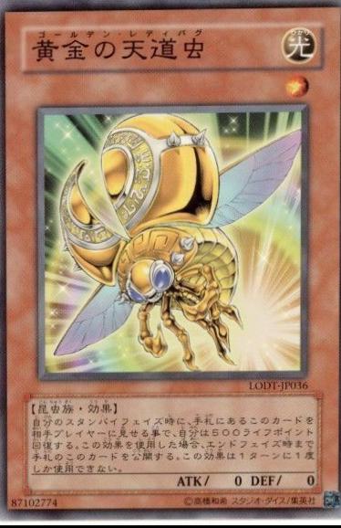 Golden Ladybug LODT-JP036