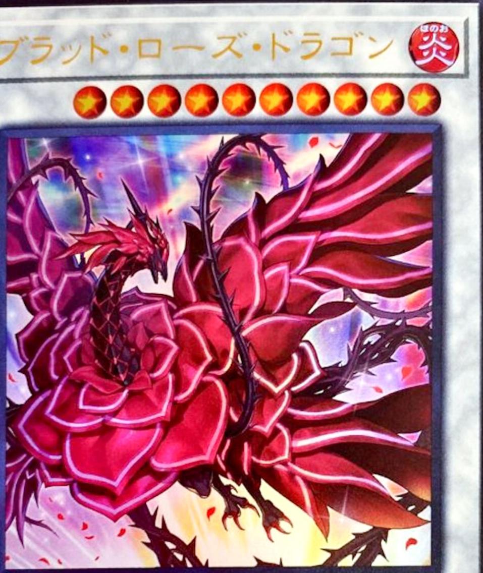 Ruddy Rose Dragon LIOV-JP035