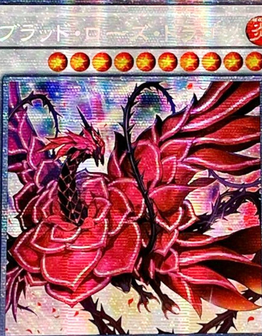 Ruddy Rose Dragon [Prismatic Secret Rare] LIOV-JP035