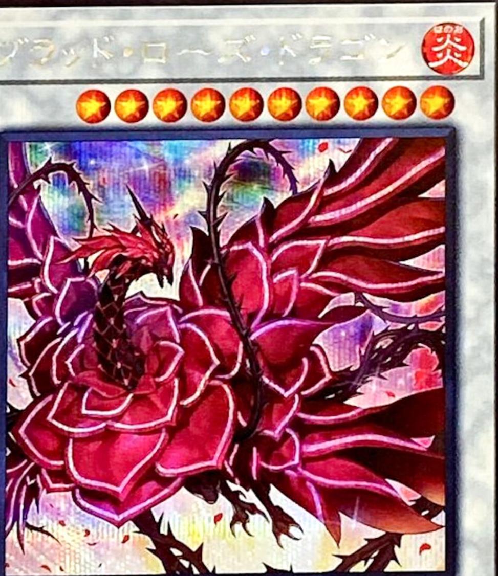 Ruddy Rose Dragon [Secret Rare] LIOV-JP035