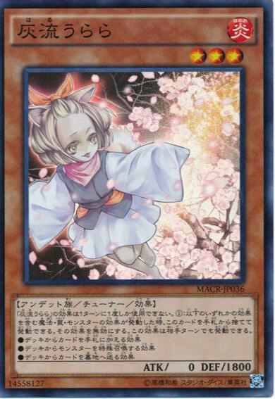 Ash Blossom & Joyous Spring MACR-JP036