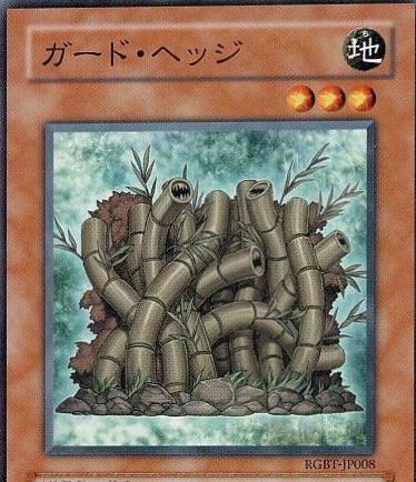 Hedge Guard RGBT-JP008