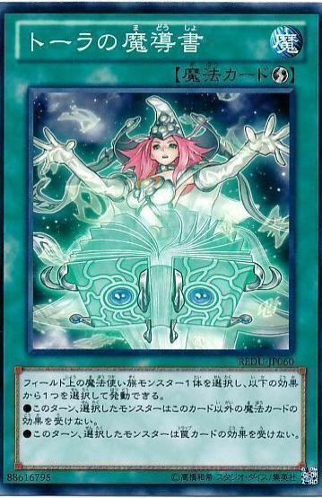 Spellbook of Wisdom REDU-JP060