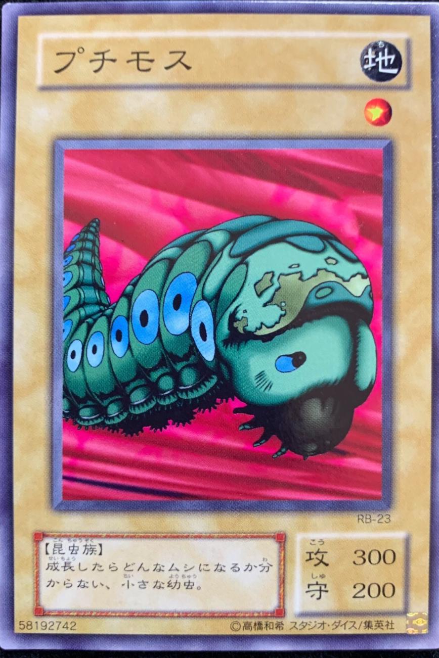 Petit Moth RB-23