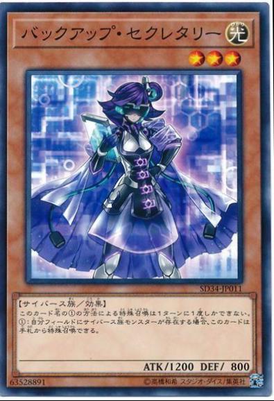 Backup Secretary SD34-JP011