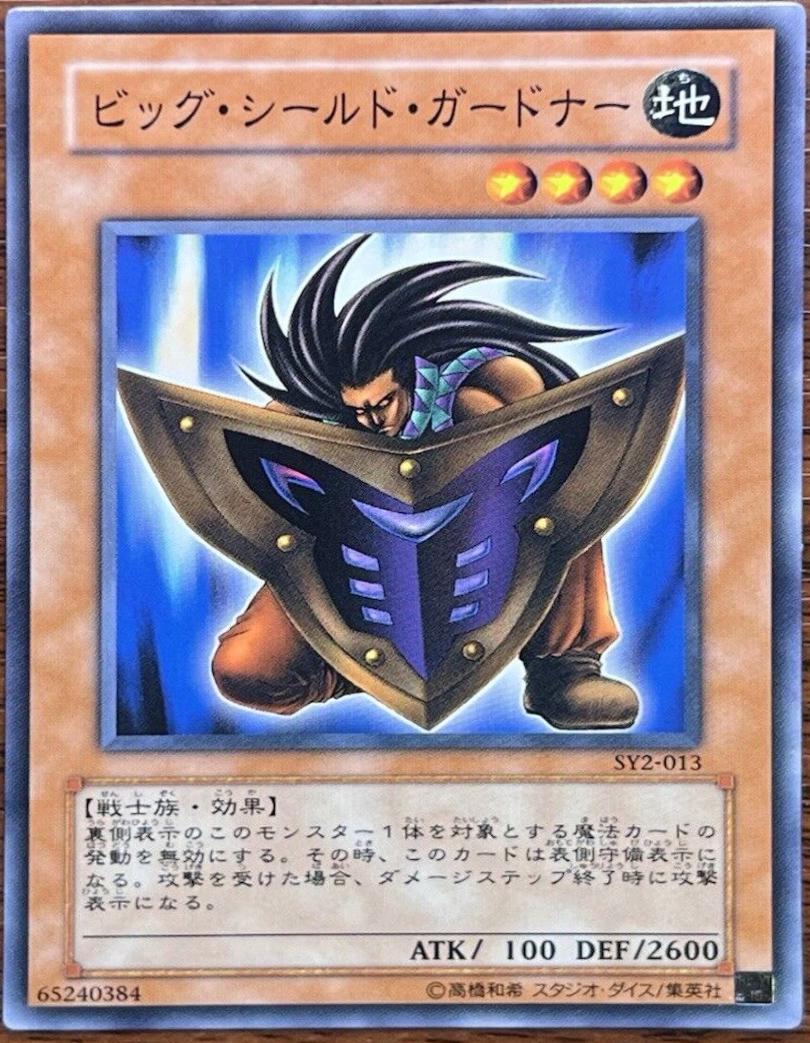 Big Shield Gardna SY2-013
