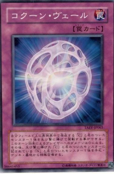 Cocoon Veil TAEV-JP065