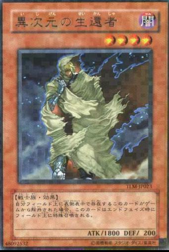 D.D. Survivor TLM-JP023