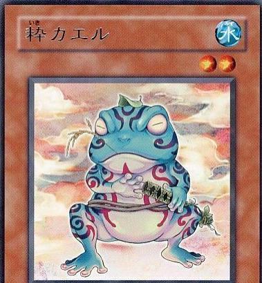 Ronintoadin TSHD-JP033