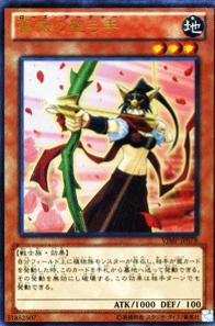 Rose Archer VJMP-JP078