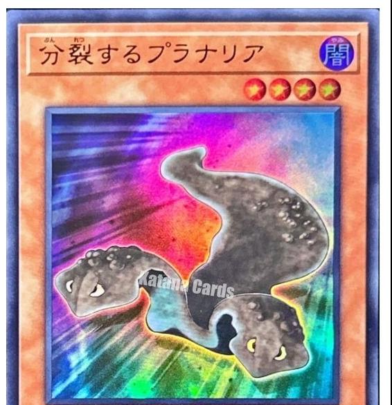 Splitting Planarian VJMP-JP258