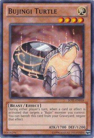 Bujingi Turtle JOTL-EN018