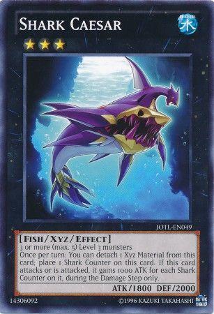 Shark Caesar JOTL-EN049