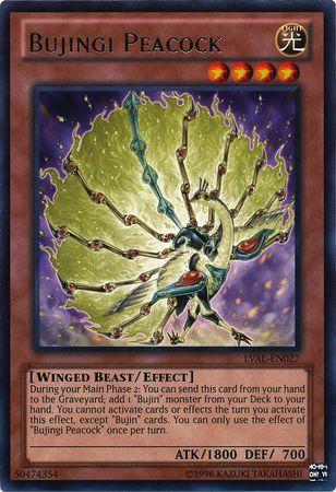 Bujingi Peacock LVAL-EN027