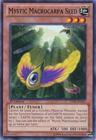 Mystic Macrocarpa Seed [1st Edition] LVAL-EN035