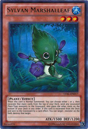 Sylvan Marshalleaf LVAL-EN017