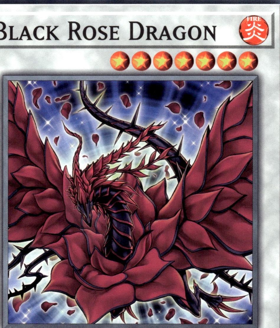 Black Rose Dragon L5DD-ENA26