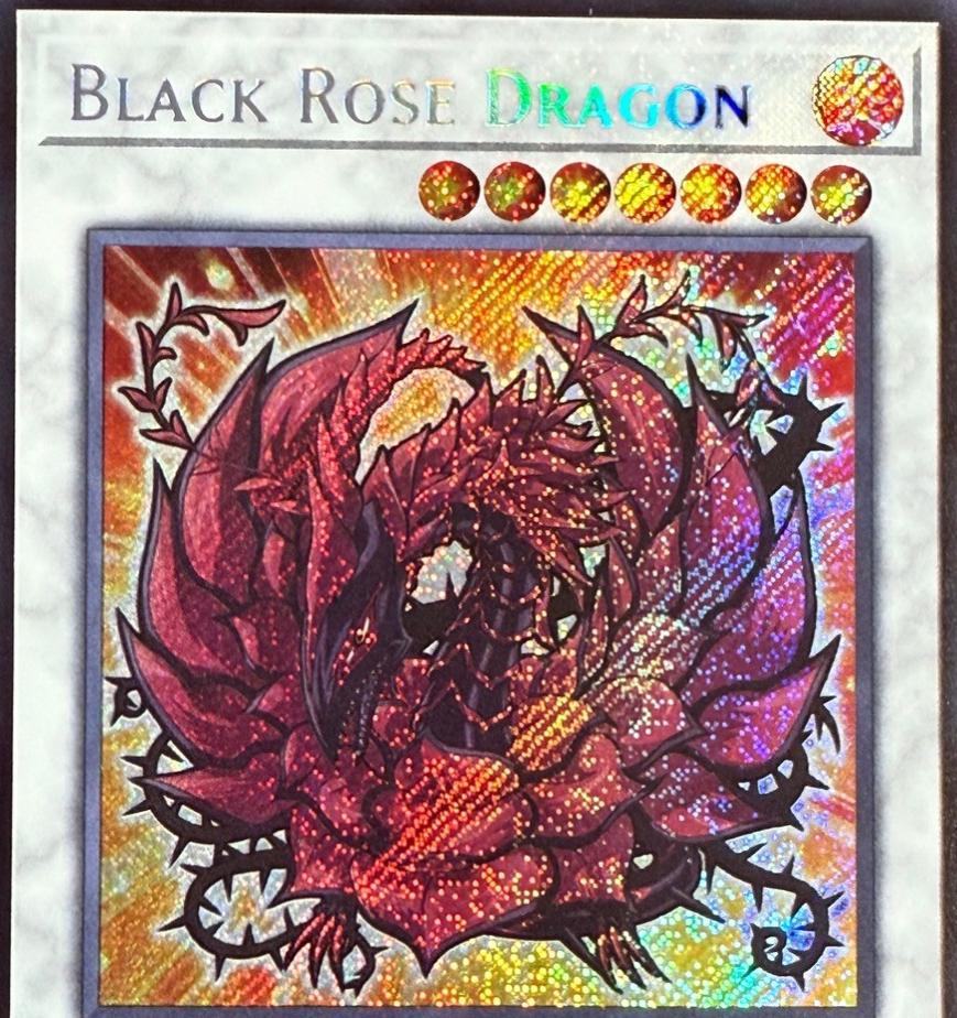 Black Rose Dragon L5DD-ENS02
