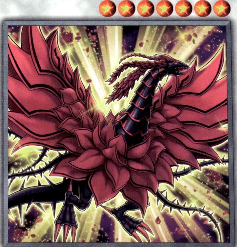 Black Rose Moonlight Dragon L5DD-ENA28