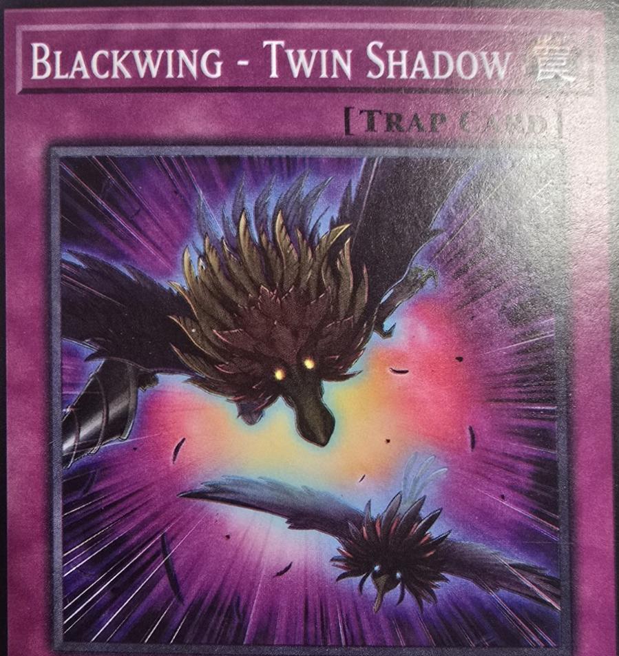 Blackwing - Twin Shadow L5DD-ENC26