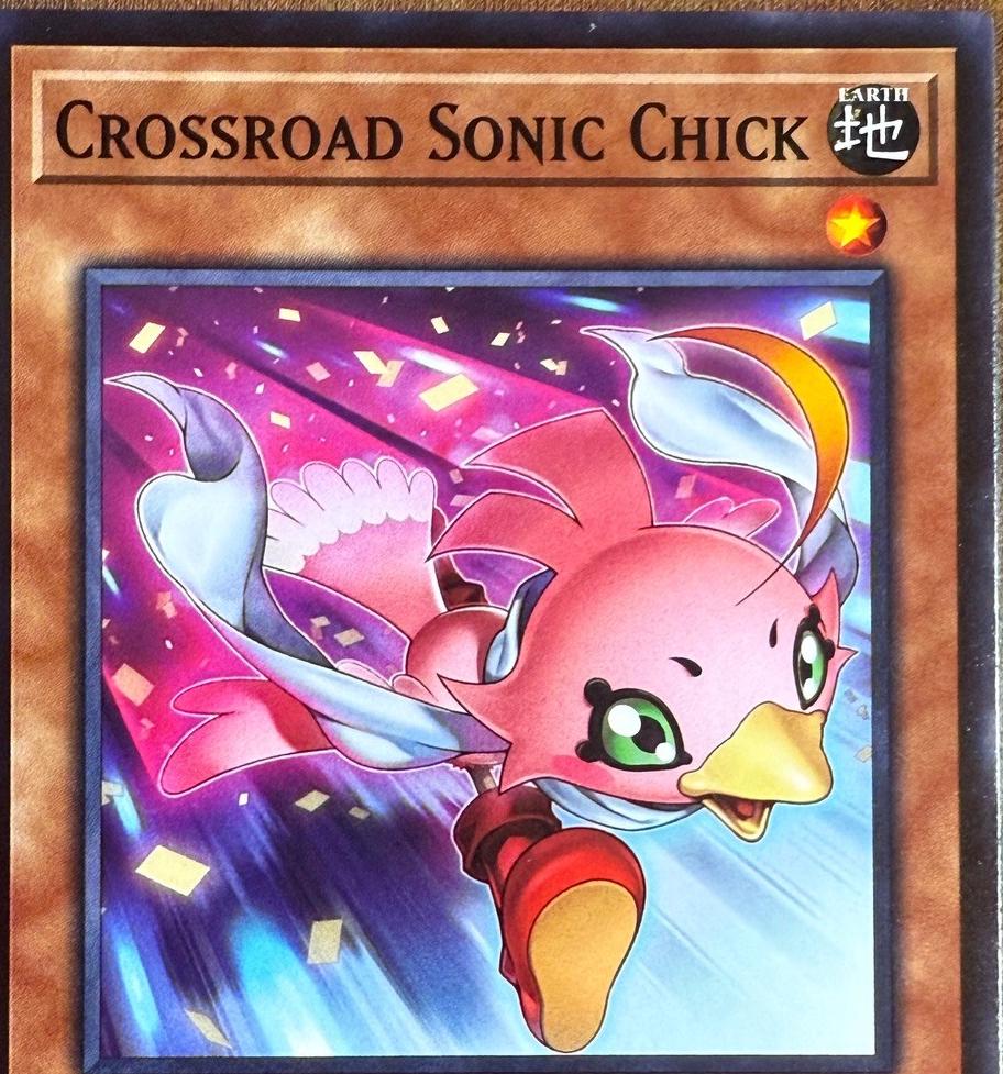 Crossroad Sonic Chick L5DD-ENY03