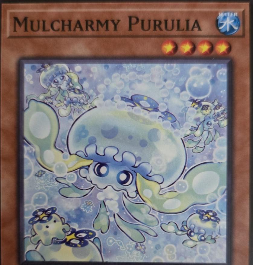 Mulcharmy Purulia L5DD-ENY18