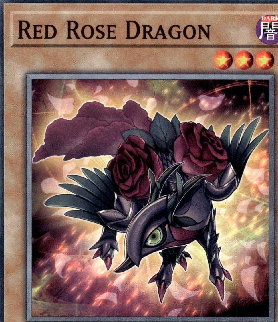 Red Rose Dragon L5DD-ENA07