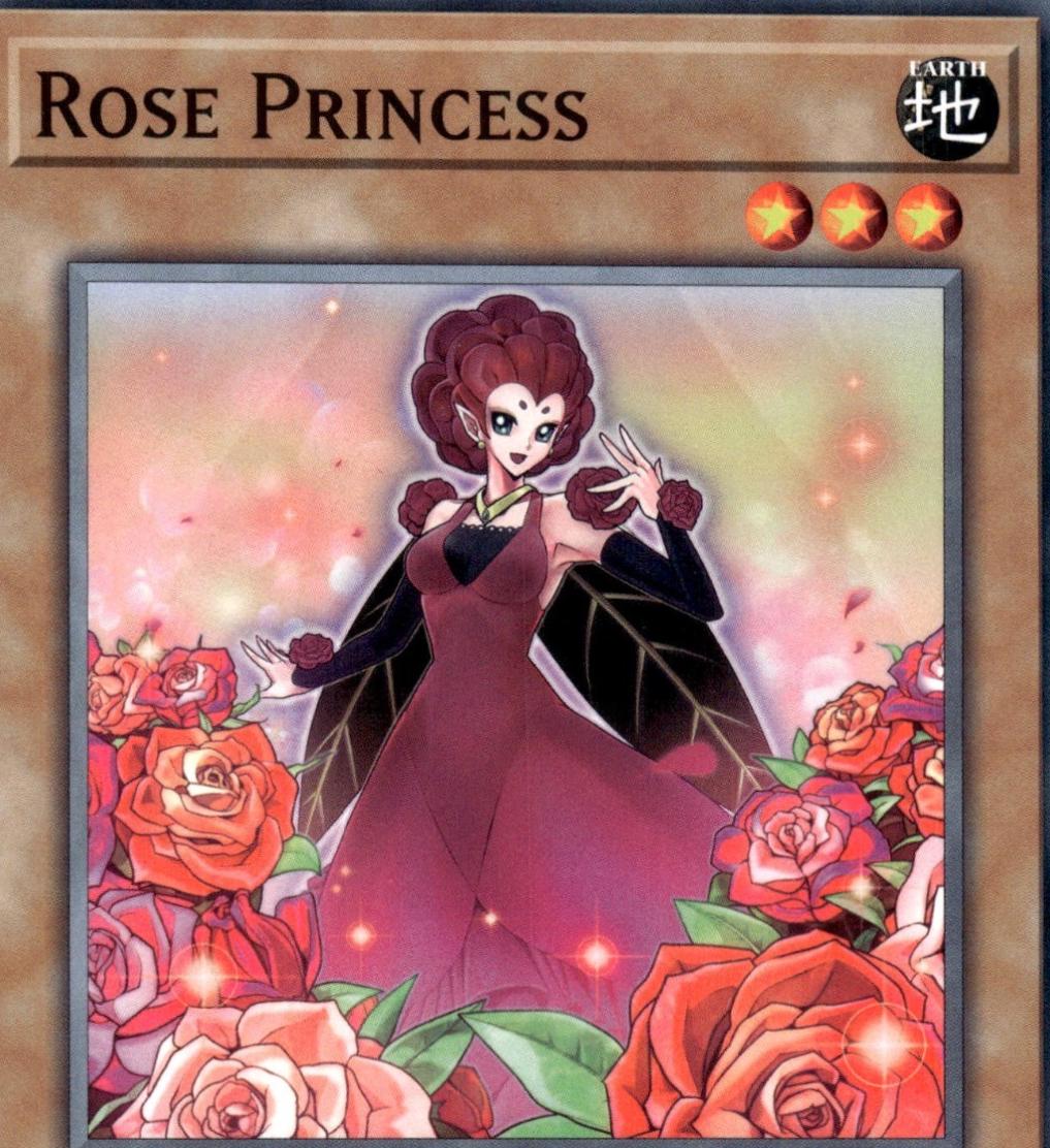 Rose Princess L5DD-ENA10