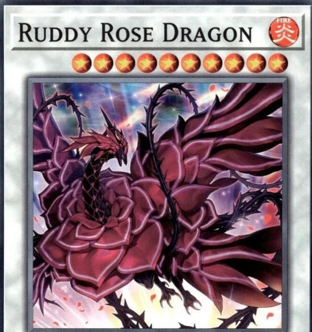 Ruddy Rose Dragon L5DD-ENA32