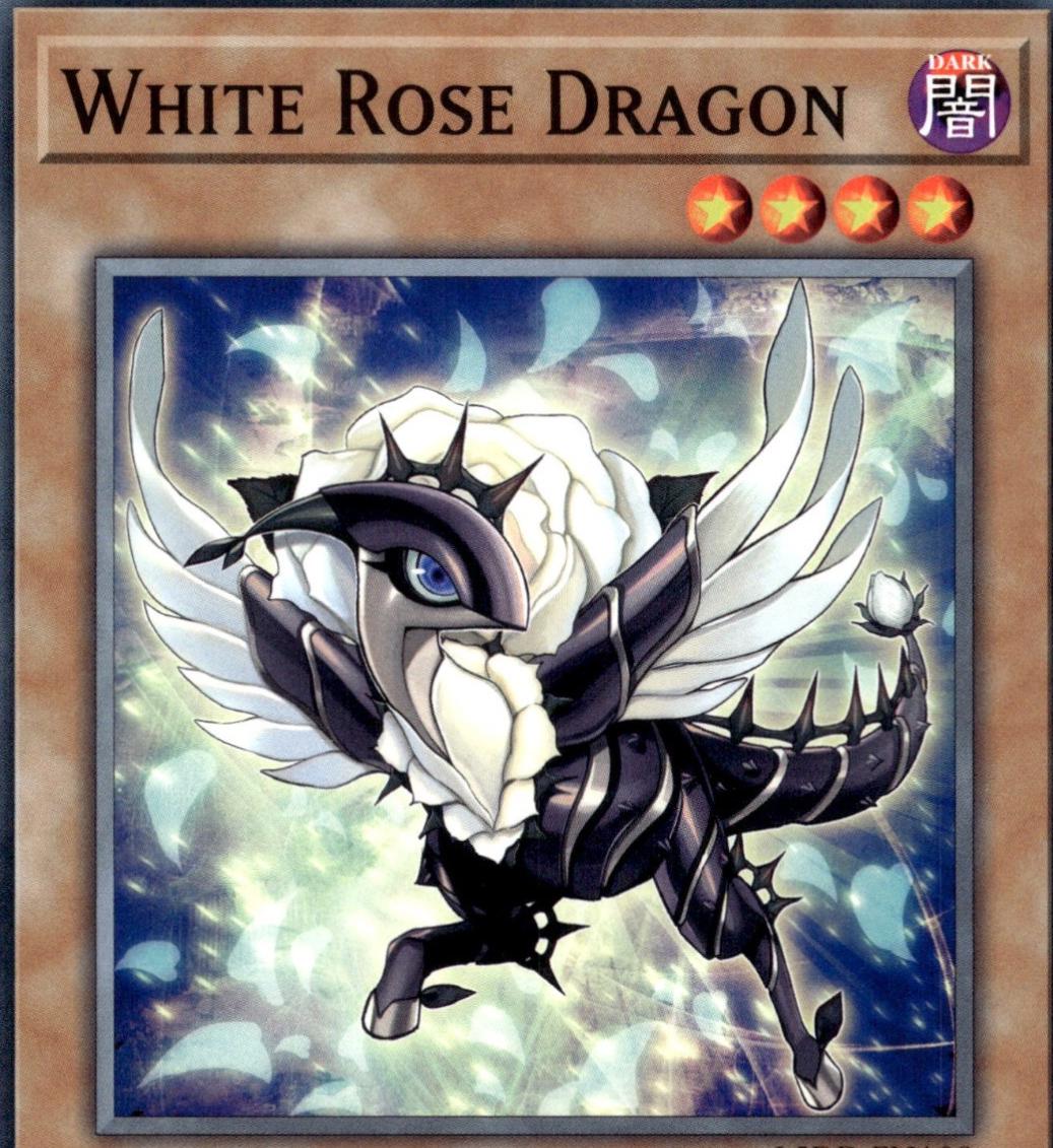 White Rose Dragon L5DD-ENA08
