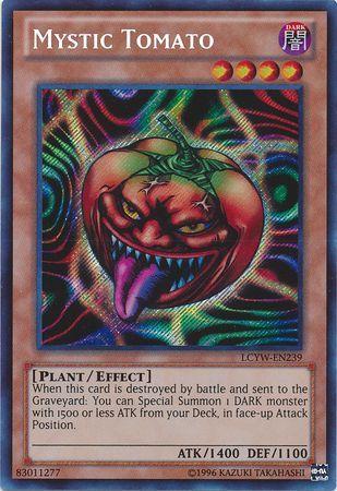 Mystic Tomato LCYW-EN239