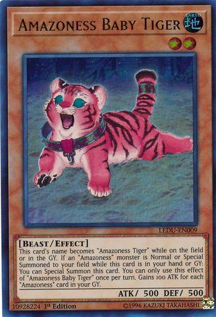 Amazoness Baby Tiger LEDU-EN009