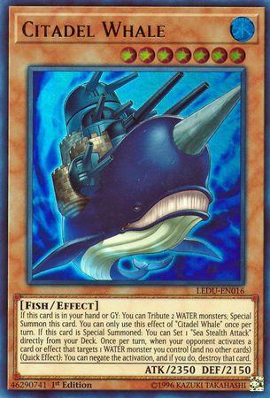 Citadel Whale LEDU-EN016