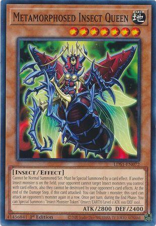 Metamorphosed Insect Queen [1st Edition] LDS1-EN072
